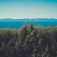 在线轰炸电话网页版免费测试