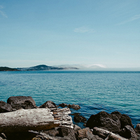 短信验证码轰炸网址免费