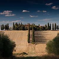神经网络模型的催收短信电话轰炸机